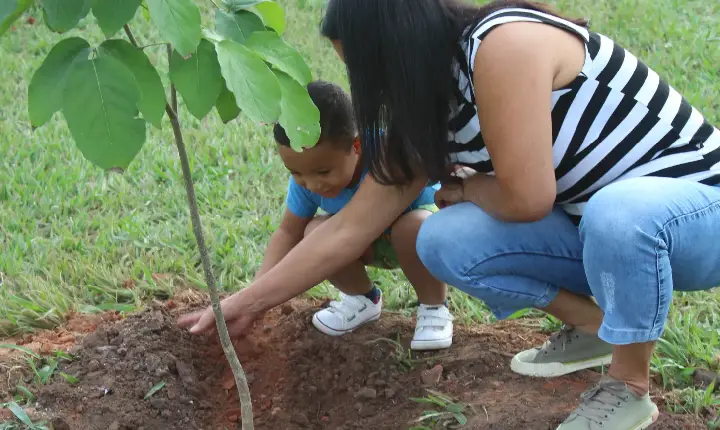 Arvorômetro: cuidar de Pompeia é um ato de amor ao futuro