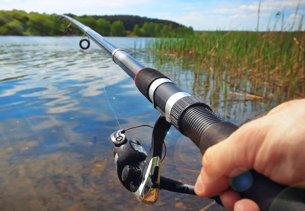 Período de Defeso da Piracema termina em 28 de fevereiro/25 no Estado de São Paulo