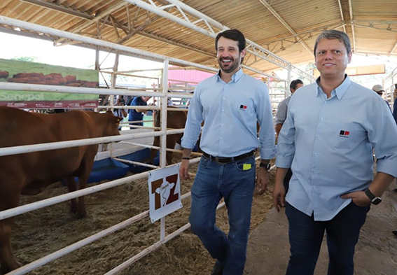 SP apresenta pacote para pecuária e autoriza 630 moradias para quilombolas e produtores