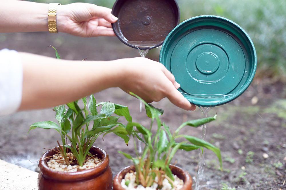 Governo de SP destina R$ 8,5 milhões para intensificar o combate à dengue na região