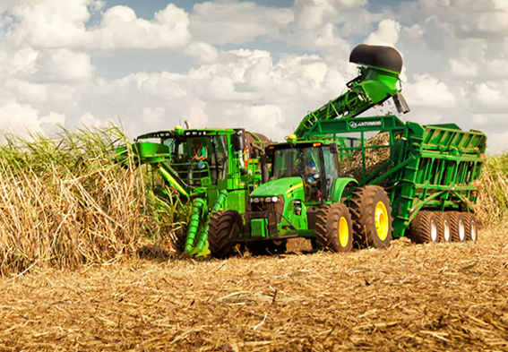 Clealco tem mais de 200 vagas de emprego abertas para a região