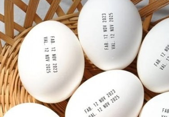 Ovos terão que ter prazo de validade e indicador de origem