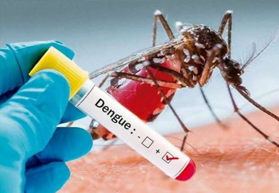 Região tem 13 mortes com suspeita de dengue; veja dados de 34 cidades