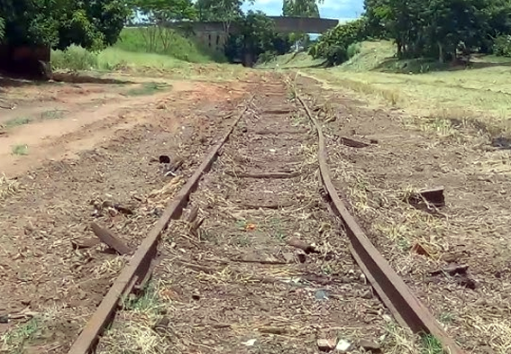 Rumo prevê reativação ferroviária em três anos